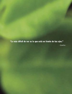 Libro de la Moringa 
