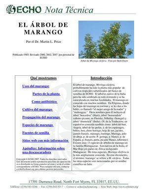 Echo Moringa Español Nota Técnica
