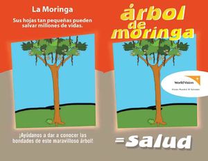 Moringa cartilla de World Vision Salvador