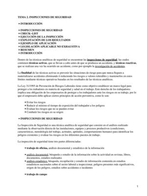 Inspecciones de Seguridad