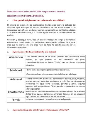 Tarea de la cultura tiahuanaco y wari