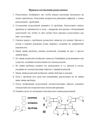 Правила составления родословных