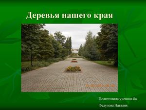Деревья нашего края