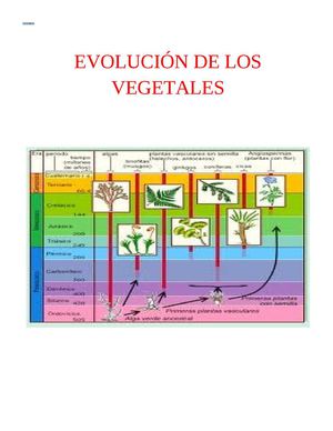 EVOLUCIÓN DE LOS VEGETALES