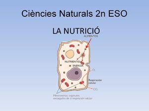 Nutricio