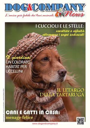 27 settembre - Dog and Company News