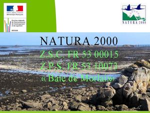 presentation_copil_2010_09_28