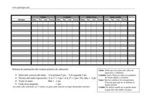planilla-examen-de-cabuyerc3ada
