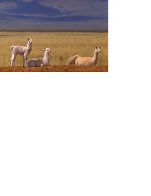 El Noroeste, una región de espacios heterogéneos