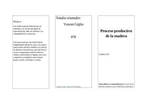 Proceso productivo de la madera