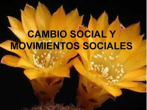 SOCIOLOGIA CAMBIO SOCIAL Y MOVIMIENTOS SOCIALES