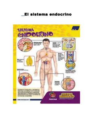 Revista del sistema endocrino