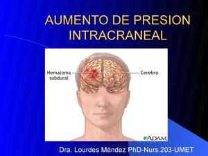 Nurs.203 AUmento Presion Intracraneal