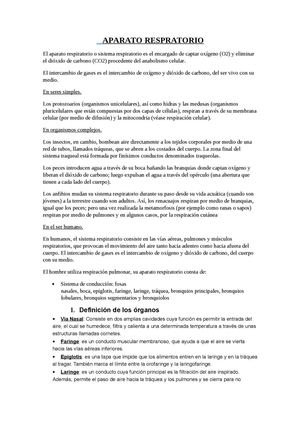 Aparato respiratorio