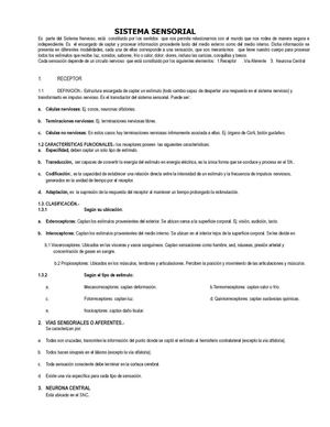 Sistema sensorial 3°