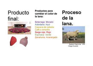 Proceso de la lana
