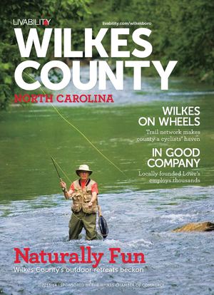 Livability Wilkes County, NC 2013