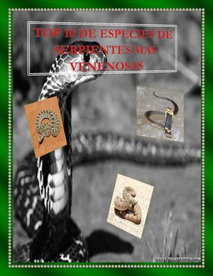 top 10  de las serpientes mas venenosas del mundo. vol.1 numero 1