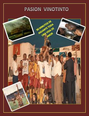 PASION VINOTINTO 