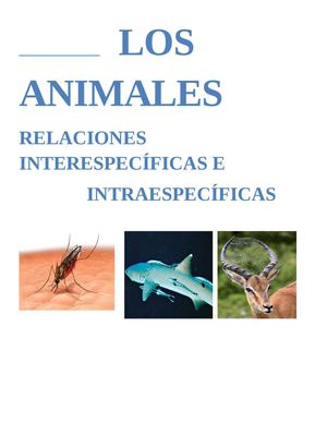 LOS ANIMALES