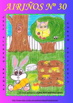 AIRIÑOS Nº 30