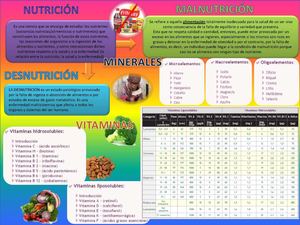 Mapa Mental de Nutrición