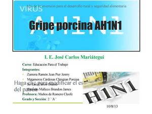 EL TRATAMIENTO DE LA GRIPE PORCINA