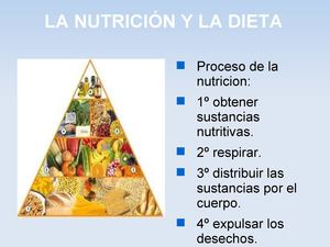 LA NUTRICIÓN Y LA DIETA POR ROBERTO Y MIREIA