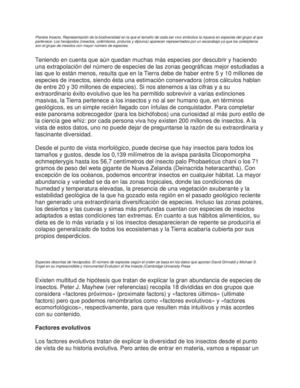 Diversidad De Insectos