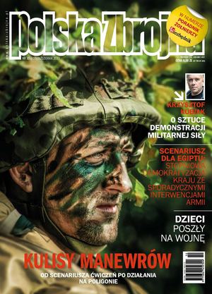 Polska Zbrojna nr 10 2013