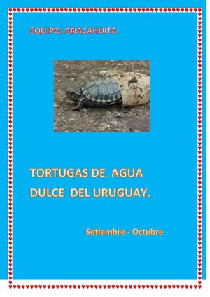 EQUIPO ANACAHUITA TORTUGAS