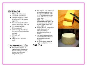 Proceso Productivo De El Queso