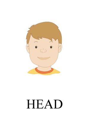 VOCABULARY OF THE BODY