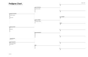 The genealogy of Timothy mattock part 7