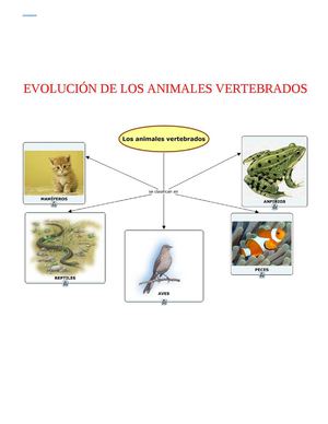 EVOLUCIÓN DE LOS ANIMALES VERTEBRADOS
