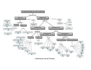 Mapa de la Clasificación de las Plantas