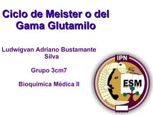 Ciclo del Gamma Glutamilo