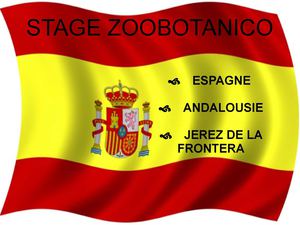 ICSSA - BTS AM - Bilan du stage à l'étranger - Laura Bonnin