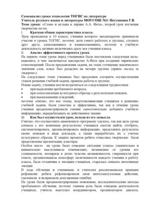 Самоанализ урока ТОГИС по литературе