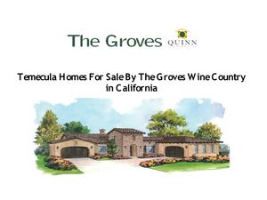 Temecula Homes For Sale By The Groves Wine Country in California