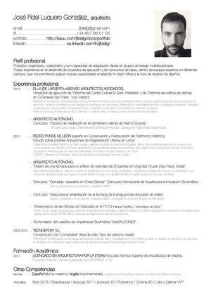 Curriculum vitae aeronautico image