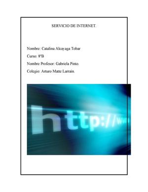 SERVICIO DE INTERNET.