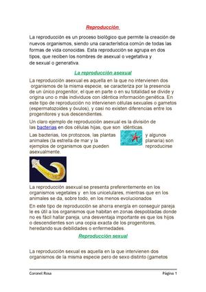 La Reproducción en los seres vivos 