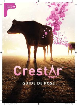 MSD - pose du Crestar