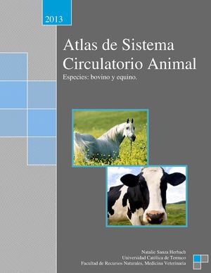 Atlas Sistema Circulatorio Animal