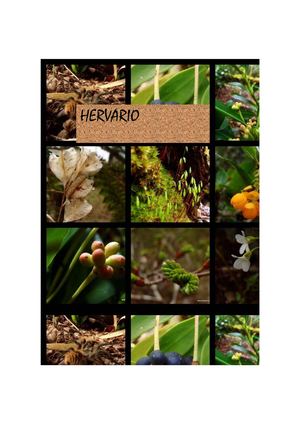  Hervario flora
