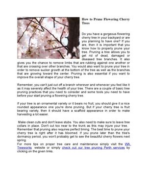 How to Prune Flowering Cherry Trees