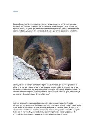 Animalitos en peligro