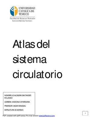 atlas del sistema circulatorio 