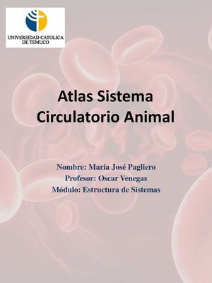Atlas Sistema Circulatorio Animal